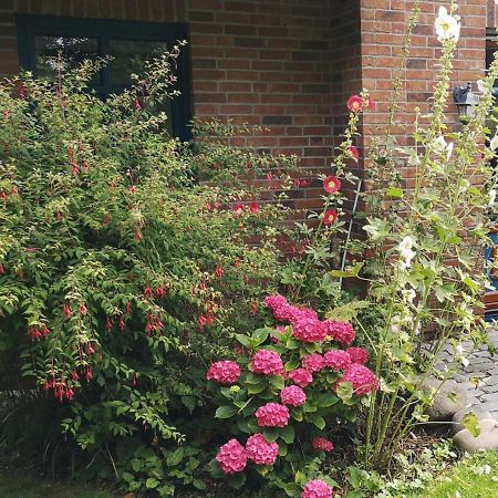Ferienhaus Arkona Putgarten Exteriör bild